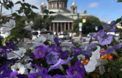 "Тур выходного дня"
